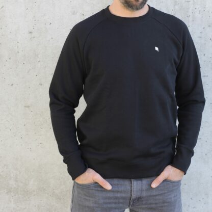 trötrö Raglan Sweater Men